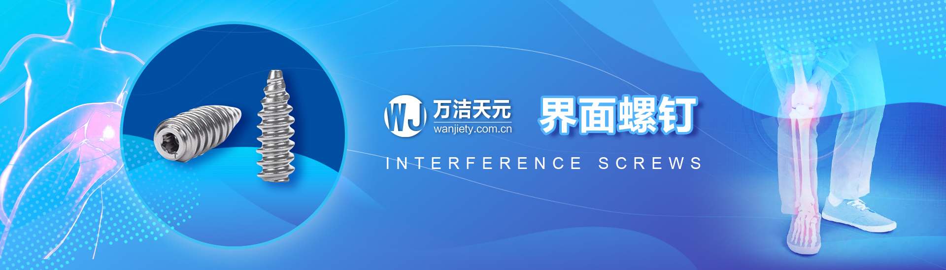 界面螺钉.jpg